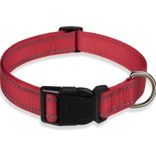 Reflective Nylon Dog Collar - Adjustable and Safe XS for Small to Large Dogs