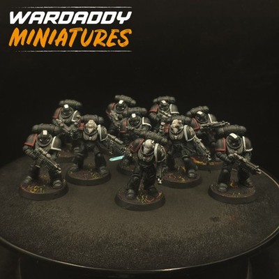 Pro Painted Warhammer 40k Raven Guard Intercessors Squad ×10 #4 Games Workshop