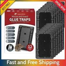 12 Pack Sticky Mouse Traps Indoor   LULUCATCH Non-Toxic Glue for Mice  Insects.