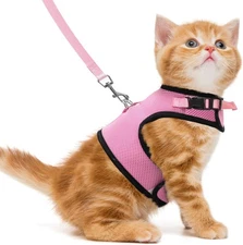PUPTECK Soft Mesh Cat Vest Harness and S(NECK 6, CHEST 8.5, 2-4 lbs), Pink 