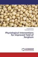 Prasann Kumar (U. A.) | Physiological Interventions For Improved Yield Of...