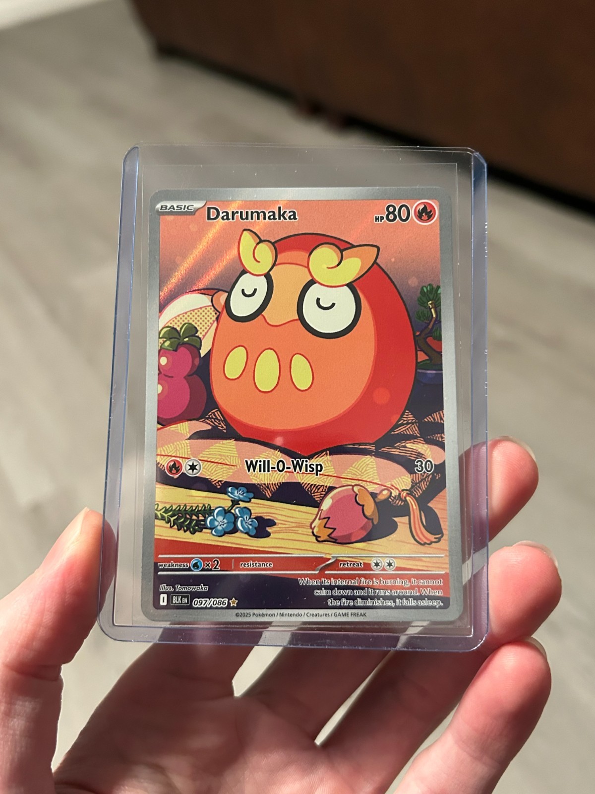 Darumaka 097/086 Sv: Black Bolt Holo NM Pokemon TCG Card English
