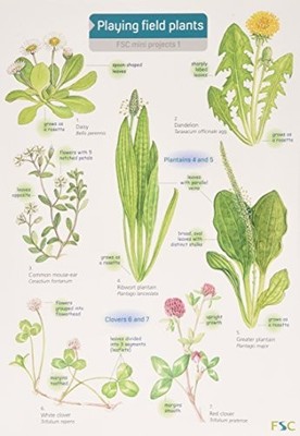 Rebecca Farley Playing Field Plants (Mixed Media Product) FSC Mini Projects S.