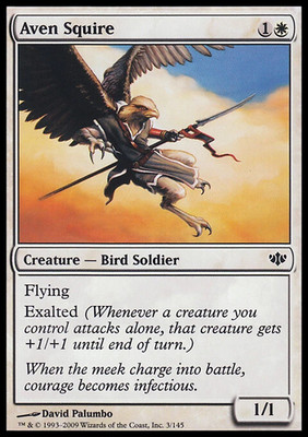 Magic the Gathering MTG Aven Squire (3) Conflux   LP