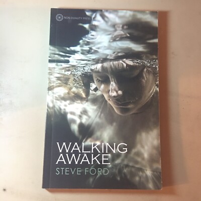 Walking Awake by Steve Ford (2014, Non-Duality Press) Paperback Spirituality
