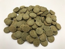 JBL NovoPleco XL 100 Stück