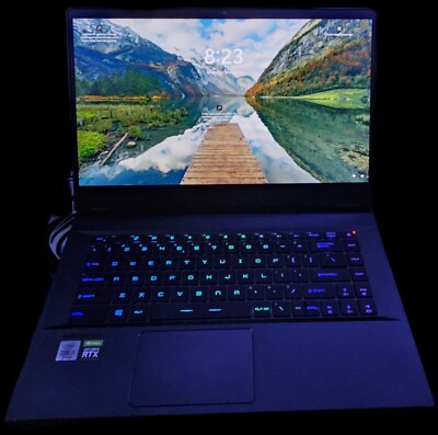 MSI Gaming Laptop GE66 raider 10UH-210US