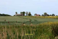 Photo 12x8 Crop field by Muswell Manor Leysdown-on-Sea  c2020