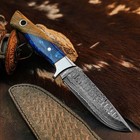 9.3" Damascus Hunting Knife Full Tang Resin Handle Fix Blade Handle+Sheath — photo 6
