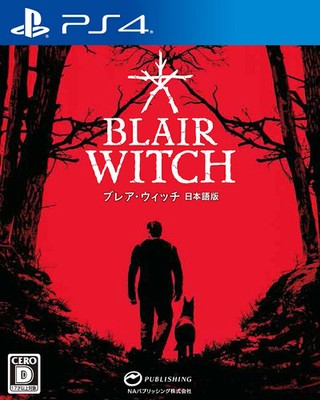 Used PS4 Blair Witch Sony PlayStation 4 NatsumeAtari JP w/tracking
