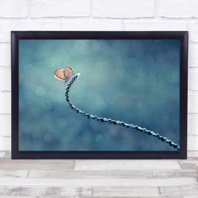 Makro türkis Schmetterling Bokeh türkis Sendiri Lagi Wandkunstdruck