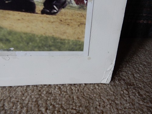 SELTEN PETE ROSE BIS ZUR FLEDERMAUSSCHAUKEL 16 X 20 ZOLL FOTO CINCINNATI REDS CROSLEY FIELD 1969 - Bild 12 von 19