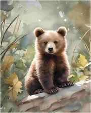 Bear Paint by Numbers Kit for Adults, Paint by Number Animals, Bear Paint by Num