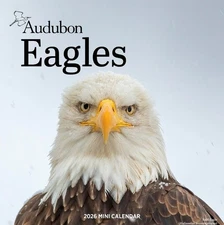 Audubon Eagles Mini Wall Calendar 2026