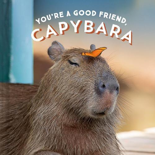 You're a Good Friend, Capybara (Copertina rigida)