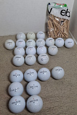 Lot of 25 Golf Balls 17 Titleist 8 Top Flite Golf Balls 2.75" Pride Tees