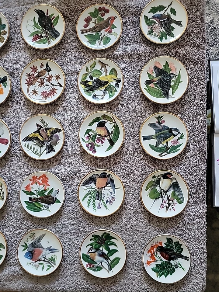 Franklin Porcelain Songbirds of The World Mini Plates Set of 25 Colin Newman - Image 3 of 4