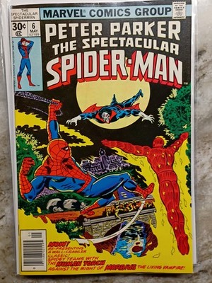 Marvel Comics Peter Parker the Spectacular Spider-Man #6 (1977)