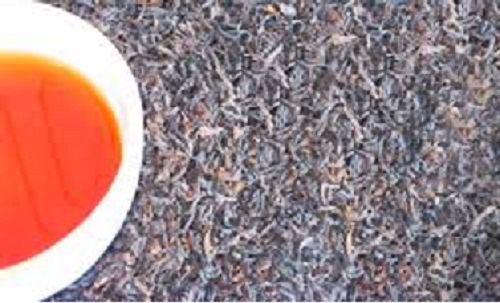 DARJEELING TÈ ORTODOSSO (SECONDA SCALA 2024) QUERCIA SFTGFOP I CH. MUSCATEL 500 Gms - Foto 1 di 3