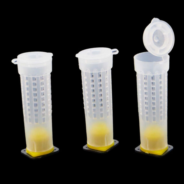 30x Gabbia PROTEZIONE ape regina strumento apicoltore apicoltura plastica 30x Gabbia PROTEZIONE ape regina strumento apicoltore apicoltura plastica
