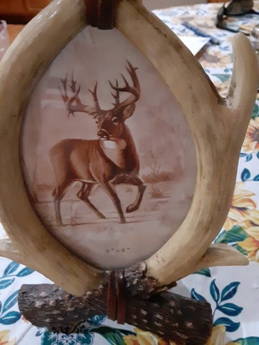 Western Home Decor Deer Antler Picture Frame Oval New - Picture 5 of 5