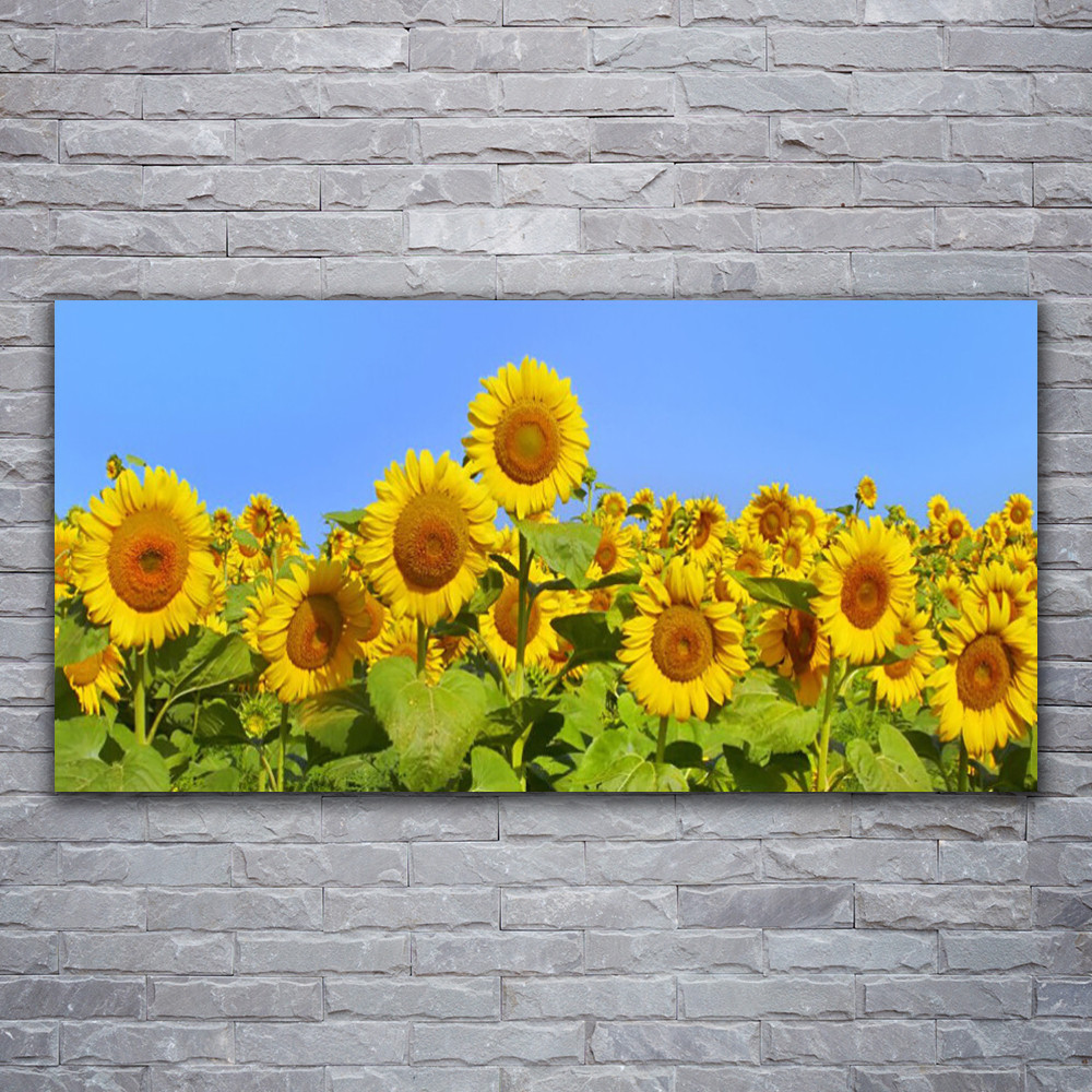 Tableau de qualité galerie d'art impression sur toile motif tournesol 120x60