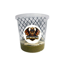 TC INSECTS Live Silkworms Feeder Insects for Reptiles Amphibians Birds More