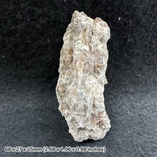 Gypsum daisy bed from the uk, beautiful mineral specimen, unique formation