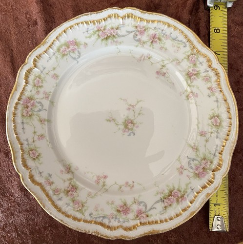 Haviland Limoges Antique 9 Dinner Plate Pink Daisy, Double Gold Gilt Trim