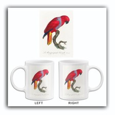Eclectus Parrot, Eclectus Roratus, Male - 1800's Francois Levaillant Bird Mug