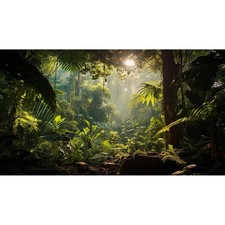 Aquarium Decorations Ocean Fish Tank Background Terrarium Background Cloth 3/4