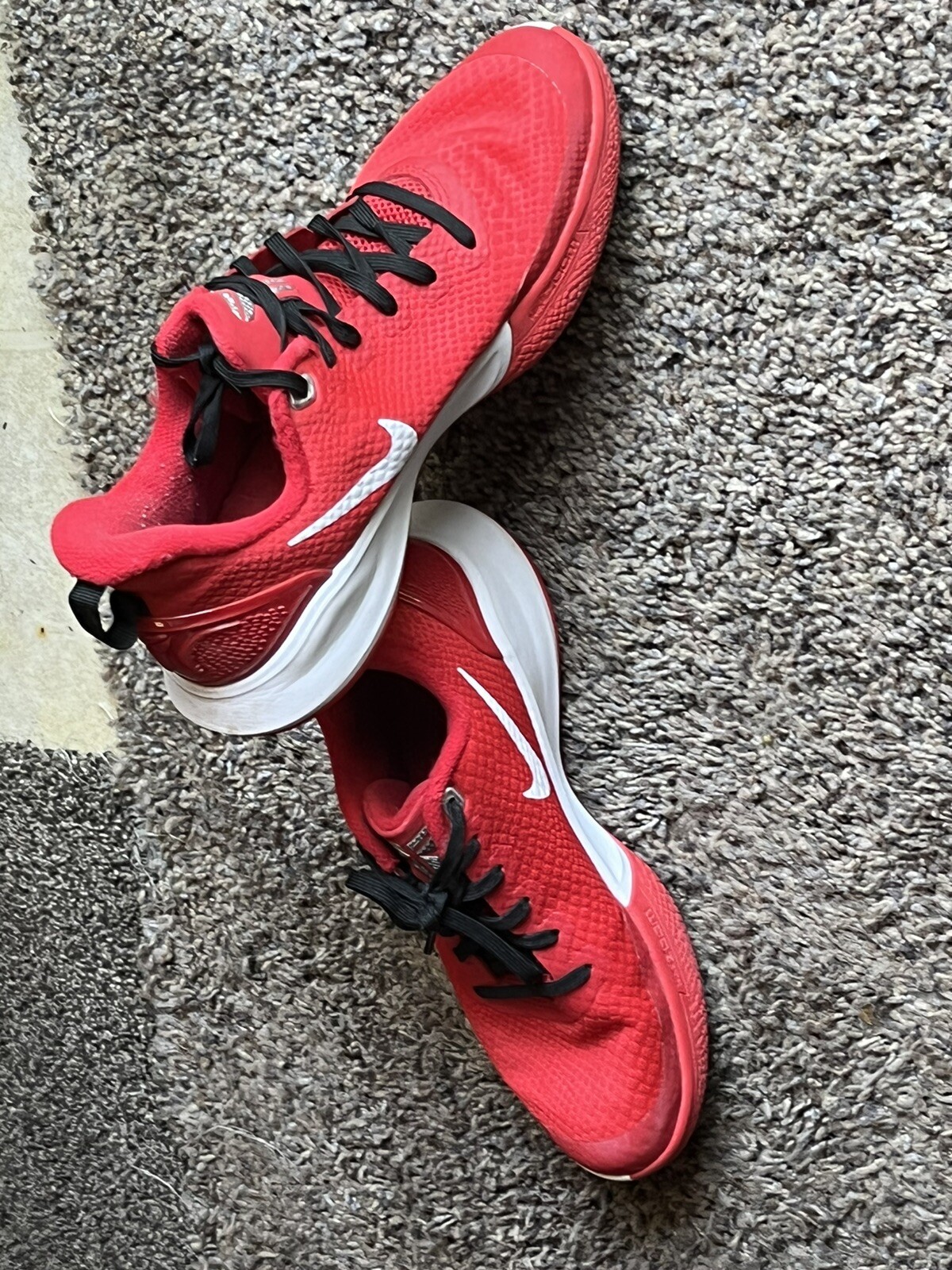 mamba focus black red