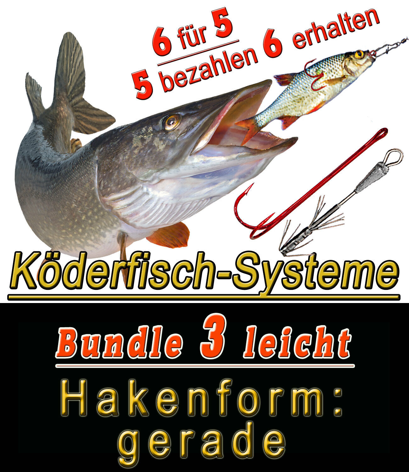 Bild 1 von 11