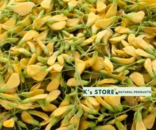 (30+ PCS) SESBANIA SESBAN SEEDS (YELLOW) , HẠT BÔNG ĐIÊN ĐIỂN