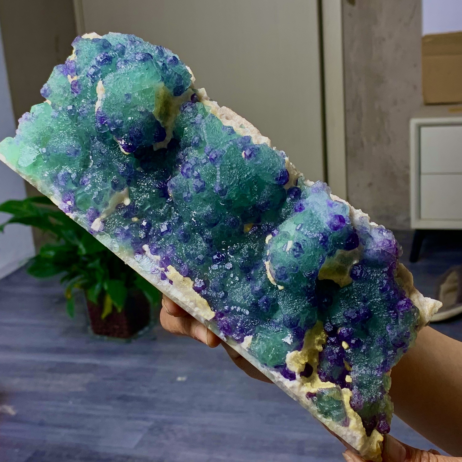 3.64LB Rare Transparent Purple Cubic Fluorite Crystal Specimen from China