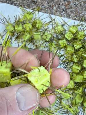 Fuzzy Banana Sherbet with Silver glitter Yellow Perch wigglers 5 pack Bin 63