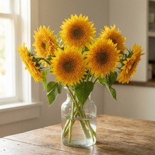 Sunflower DOUBLE SUN Non-GMO Annual Cut Flower Fresh Seed Non-GMO 100 Seeds 