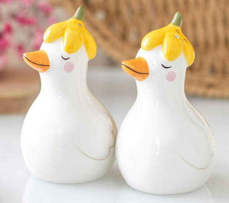 Daisy & Duck - Ceramic Salt and Pepper Shakers / Cruet - Brand New & Boxed