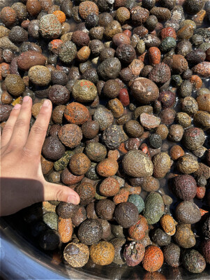 #ad natural rough Uncut China Agate Achat Nodule crystal Specimen cave thunder egg A $150.00