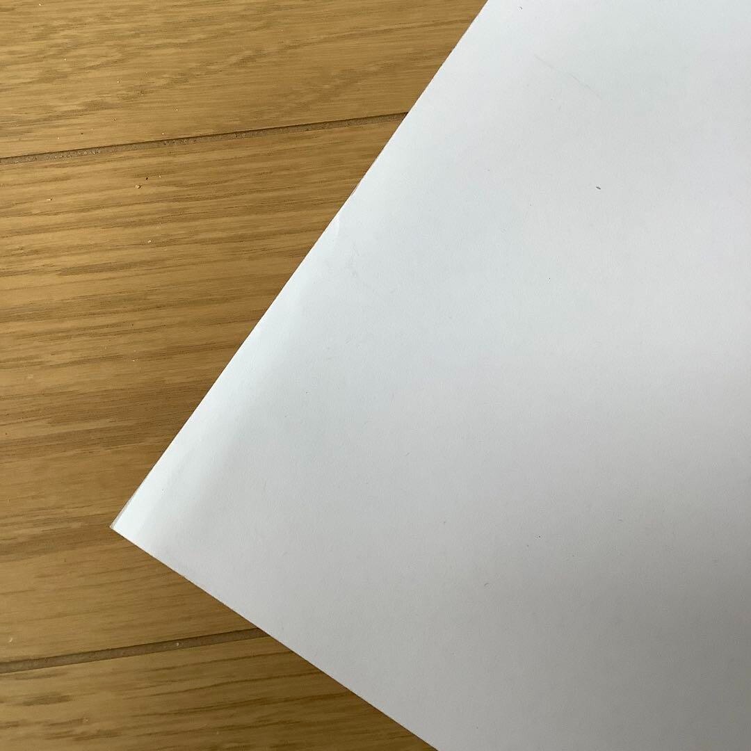 Evan Hecox / Mexico city Screen Print Signed and ED 20x16 in Used