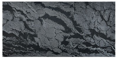 Wandpaneele Wandverkleidung 3D Wandplatten Dekorplatten Paneele 100x50 cm