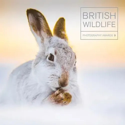 British Wildlife Photography Awards 9 | Maggie Gowan | Englisch | Buch | 2019-image