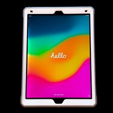 Apple iPad Pro 12.9-inch 2nd Gen A1671 64 GB, Wi-Fi 4G, w/ Hard Shell Bundle