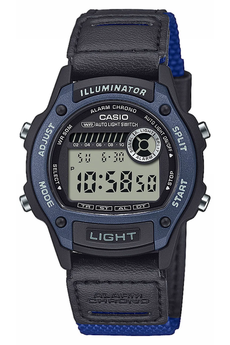 Casio LTP-1215A-2ADF, orologio analogico da donna con quadrante blu navy in acciaio inossidabile, cinturino argento e blu, SMALL, cinturino : CASIO