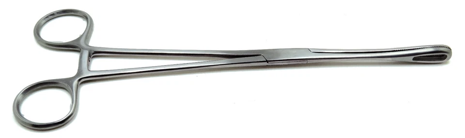 10 Piezas Pinzas Quirúrgicas Clemetson 9.5" Instrumentos Veterinarios de Acero Inoxidable Foto 3 de 4