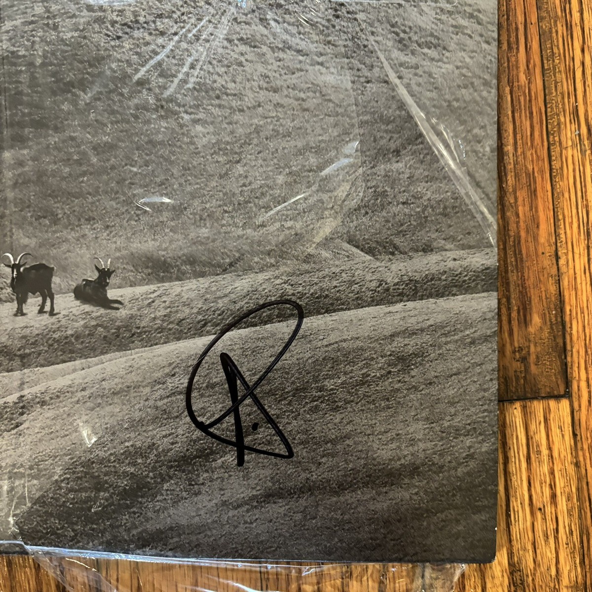 NxWorries – Why Lawd? Vinyl Standard LP (Signed by Anderson