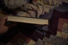 Bild 10 von 10