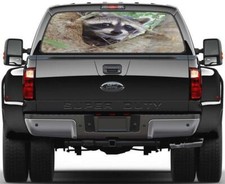 Raccoon Rear Window Decal Graphic Sticker Car Truck SUV Van Animals 658