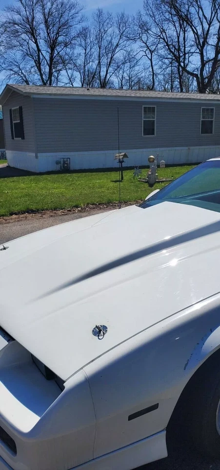 31" Negro Acero Inoxidable Mástil Varilla Radio AM/FM para Chevrolet Camaro 1982-2002 Foto 3 de 4