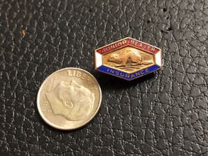 Vintage Junior Beaver insurance pin 3/4 X 1/2 inch